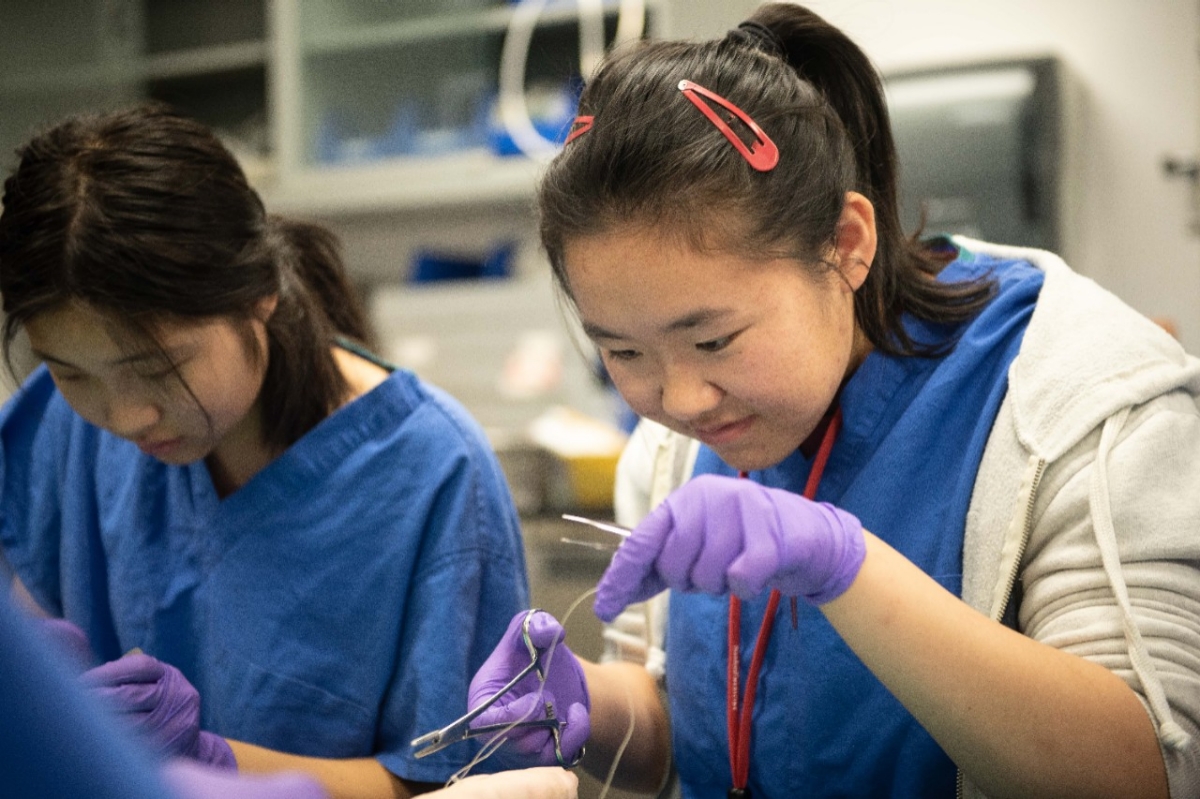 SMASH Joins Cadre of Surgery Summer Programs for High School Students