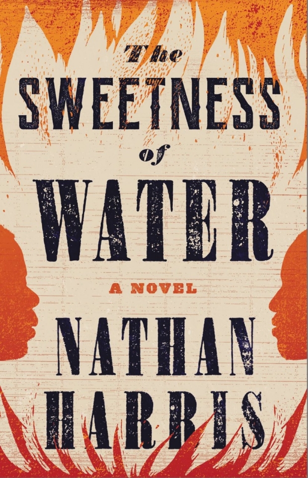 Cover of the book "The Sweetness of Water"