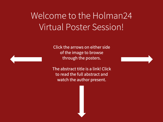 Virtual Poster Session Instructions
