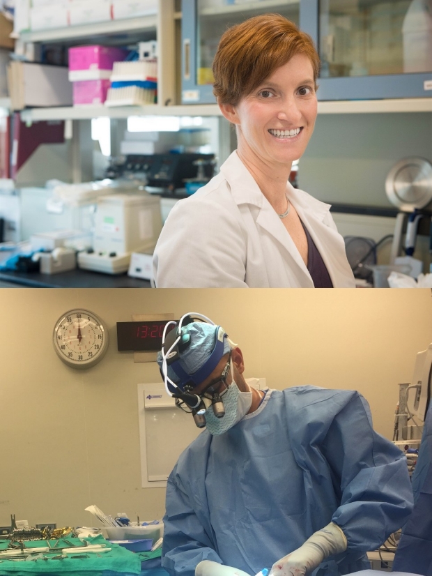 (Top) Dr. Paige Fox in her lab at the VA Palo Alto. Dr. Arash Momeni performs a free flap transfer for breast reconstruction.