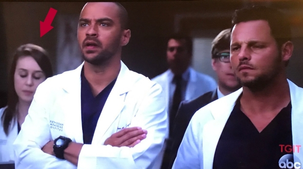 Rochlin appeared in the Season 14 premier of Grey's Anatomy