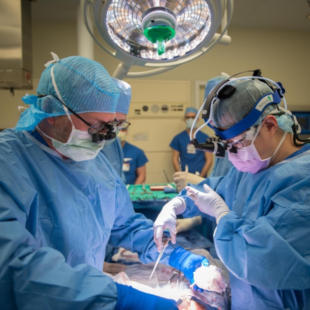 Dr. Stephan Busque performs a kidney transplant